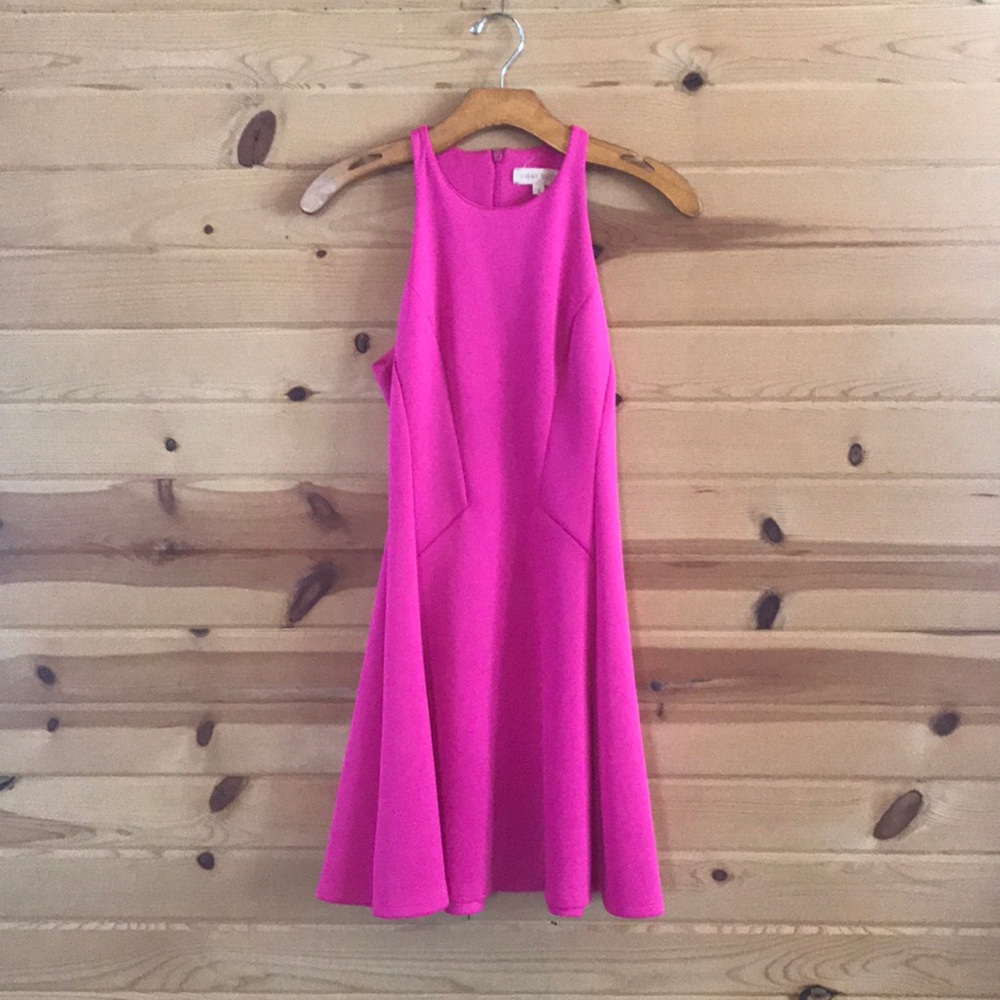 Fit and flare mini dress